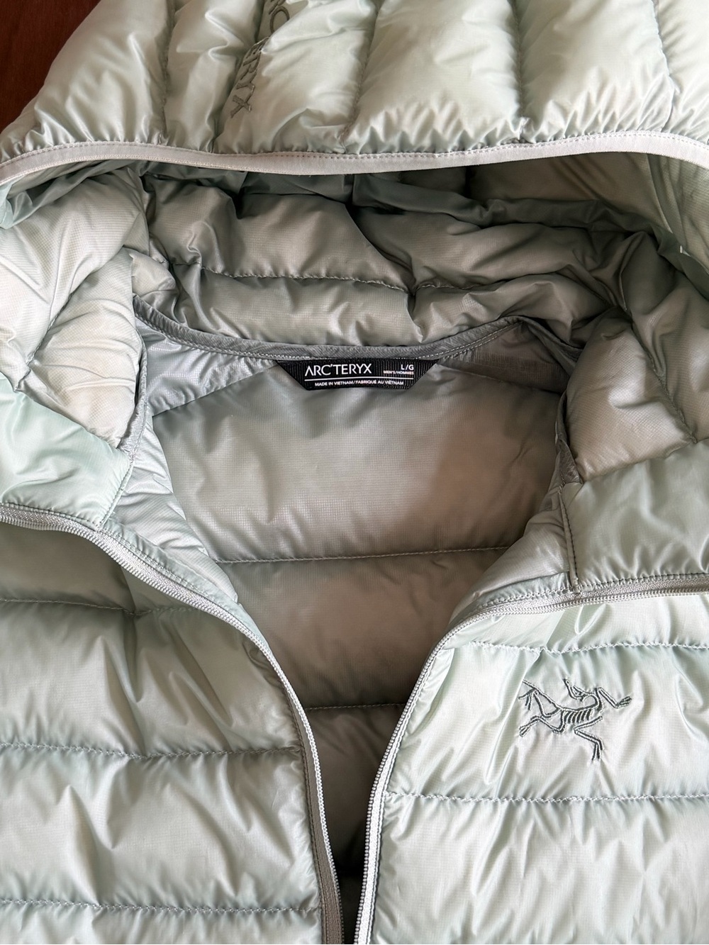 Arc'teryx Jacket Cerium Hoody Light Green
